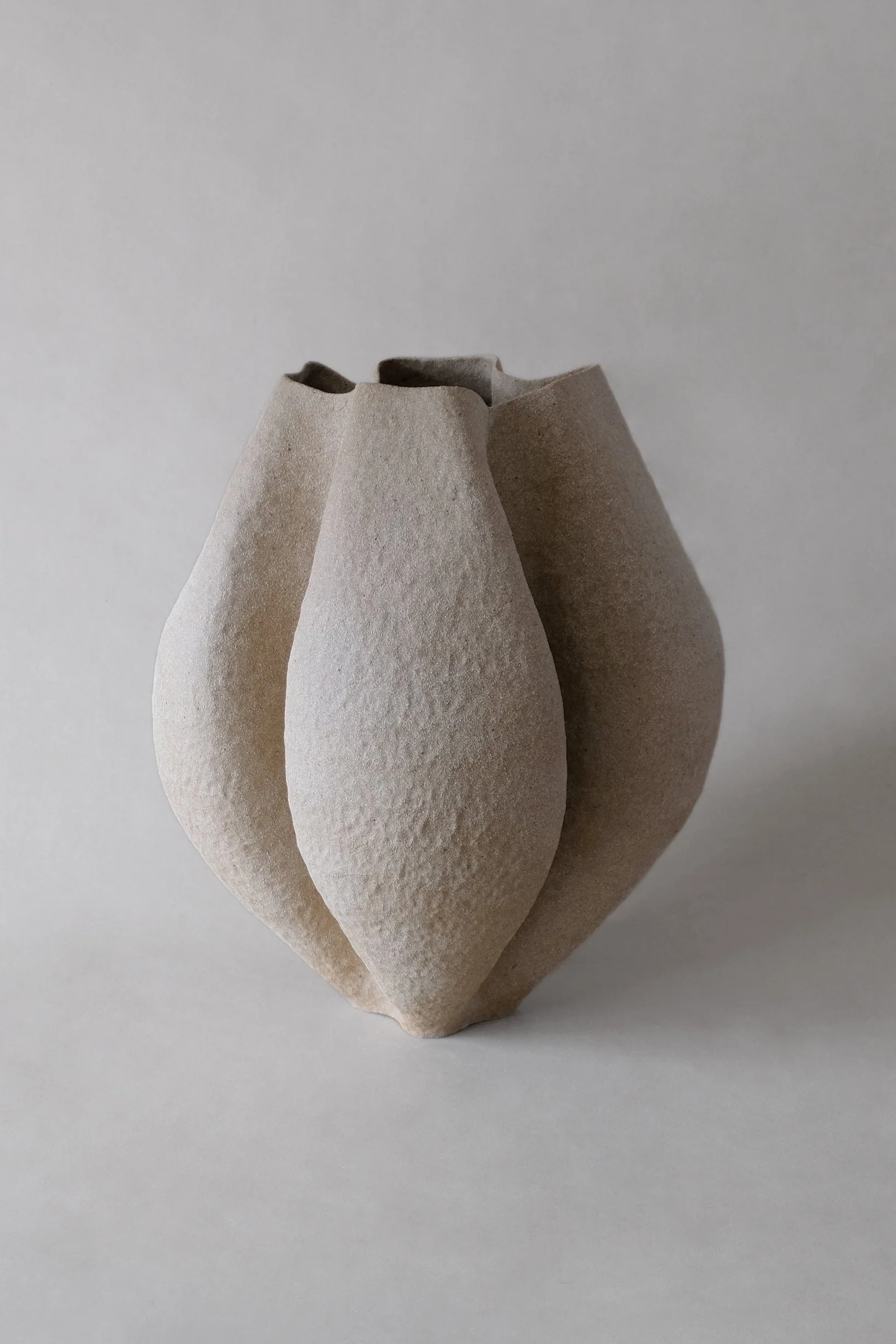 Growing Vase no. 2