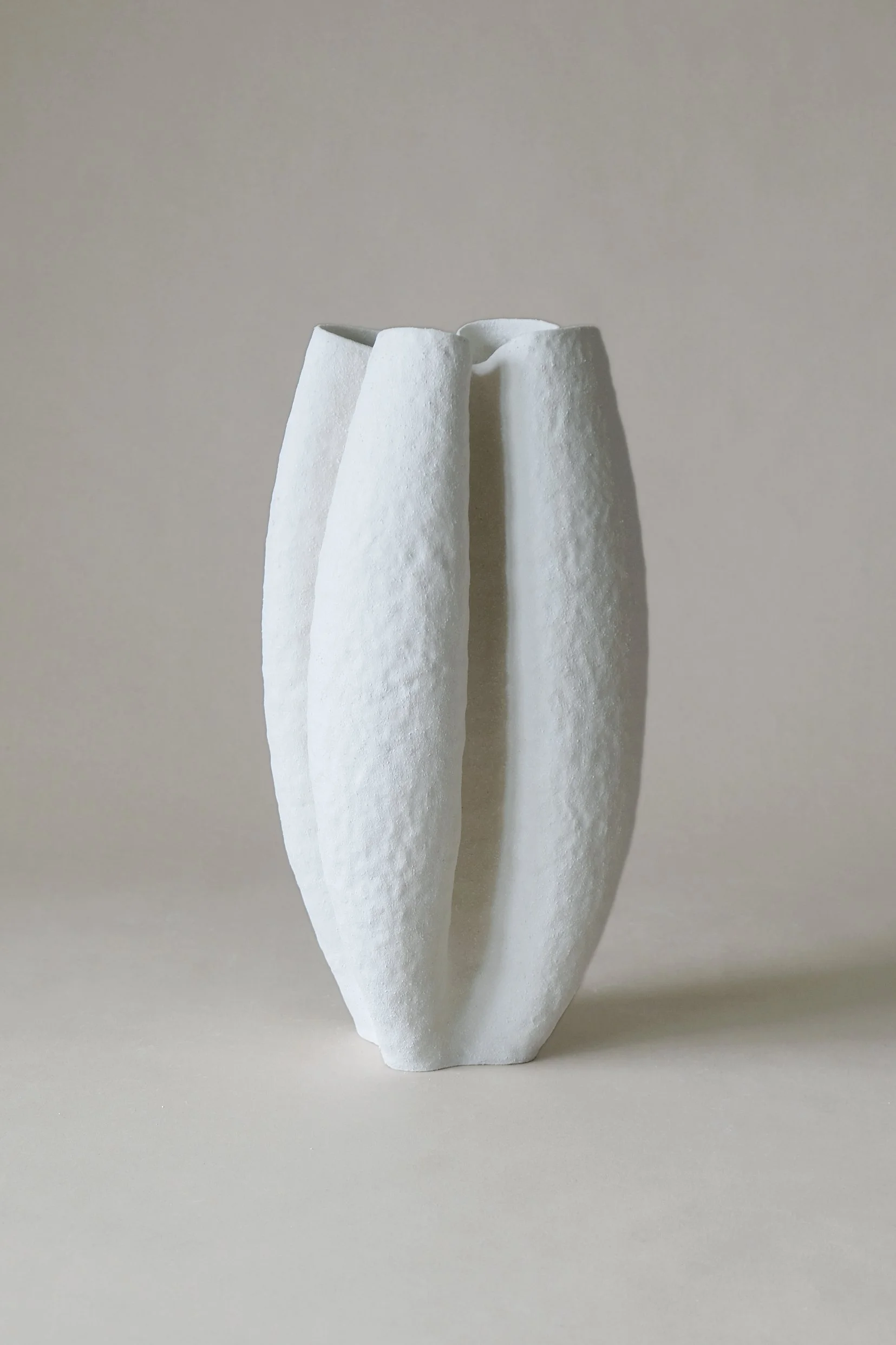 Growing Vase no. 6